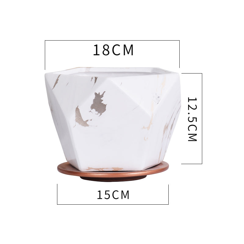 Indoor Ceramic Marble Flower Pot
